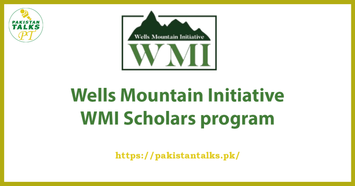 Wells Mountain Initiative WMI Scholars program